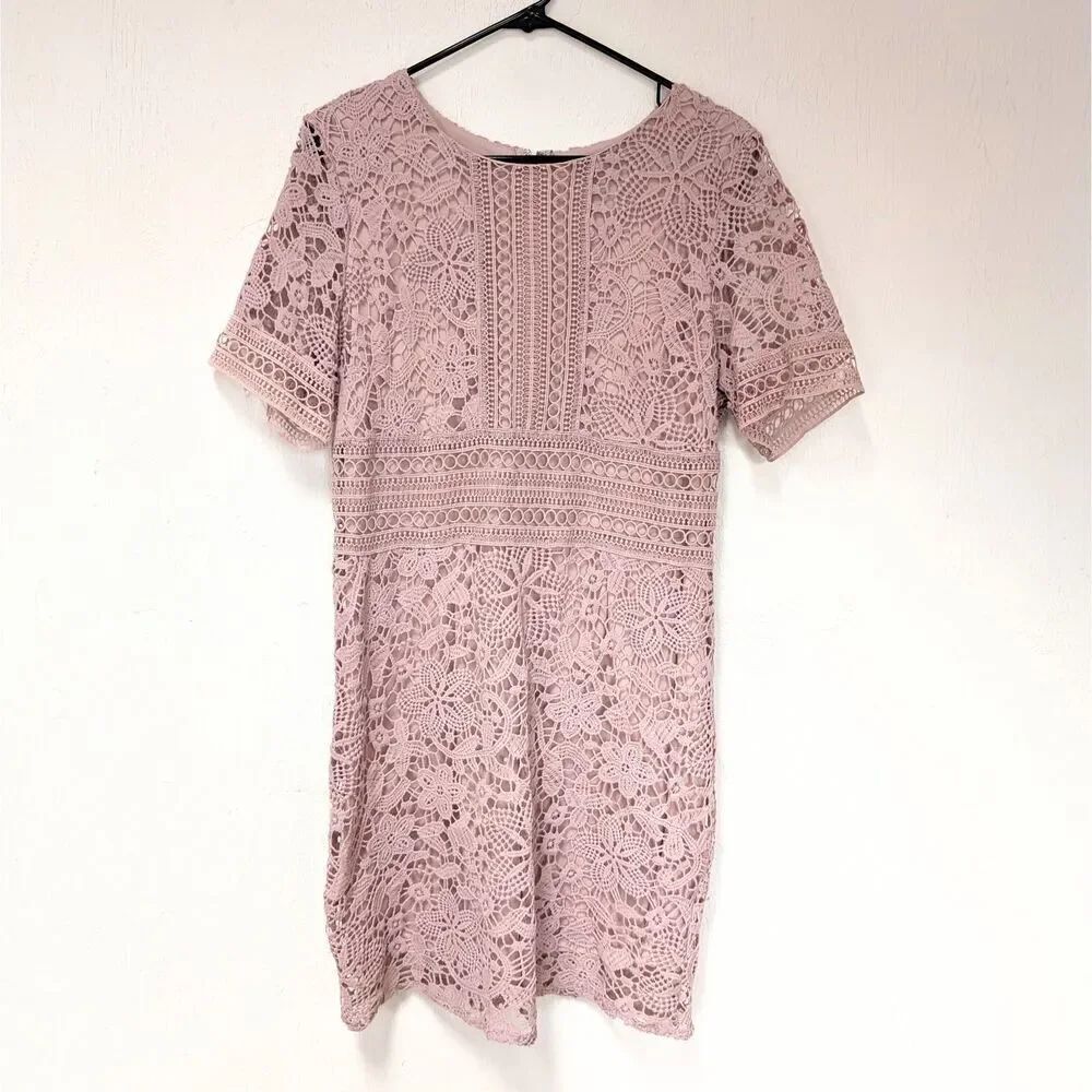 She + Sky Pink Lace Dress Large Cap Sleeve Lined Zip Coquette Fairy Dusty Pink